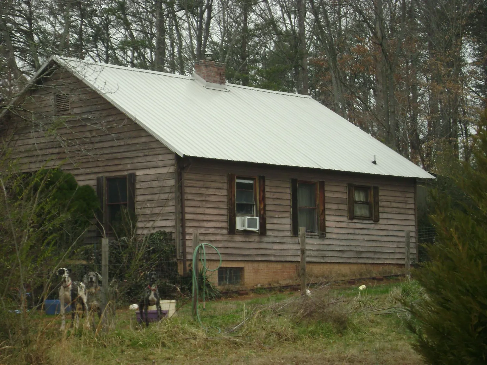 White metal roof on an old wood sided farmhouse, from a Metal Roof Installation job in Point Roberts